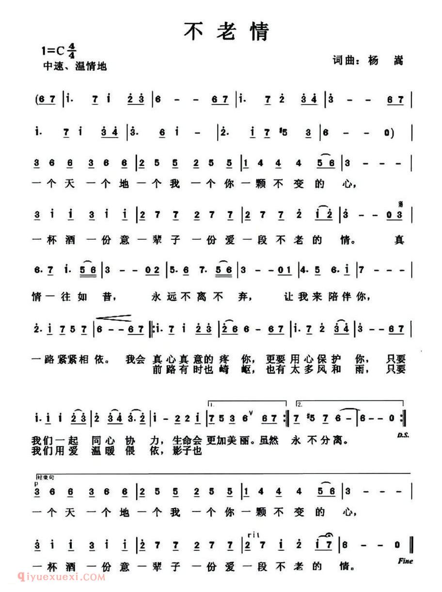 不老情 杨嵩 词曲