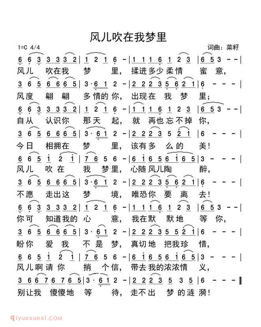 风儿吹在我梦里