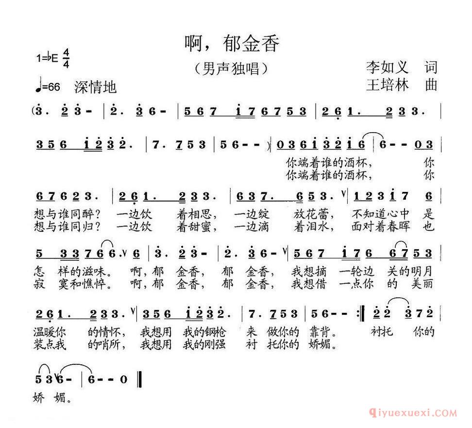 啊,郁金香