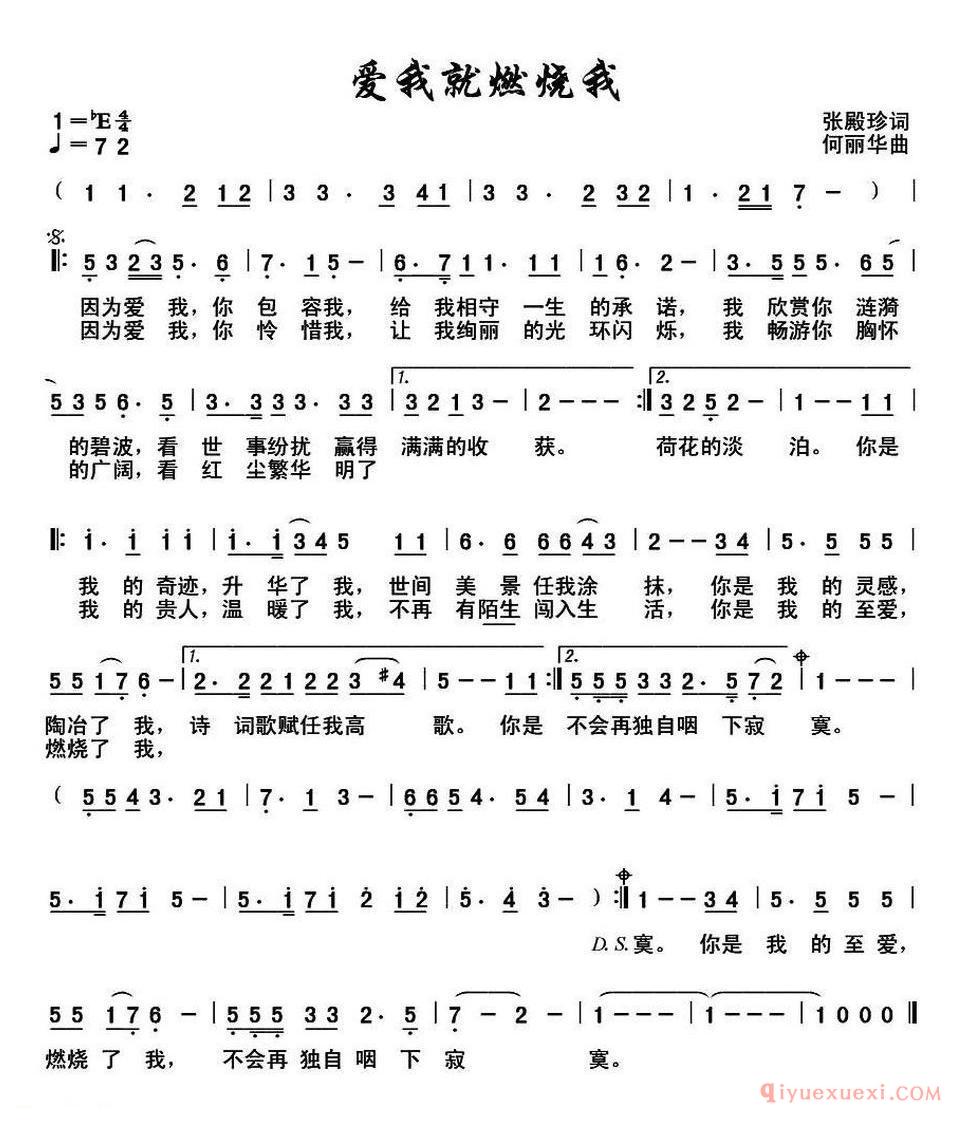 爱我就燃烧我 又名:爱我,就燃烧我