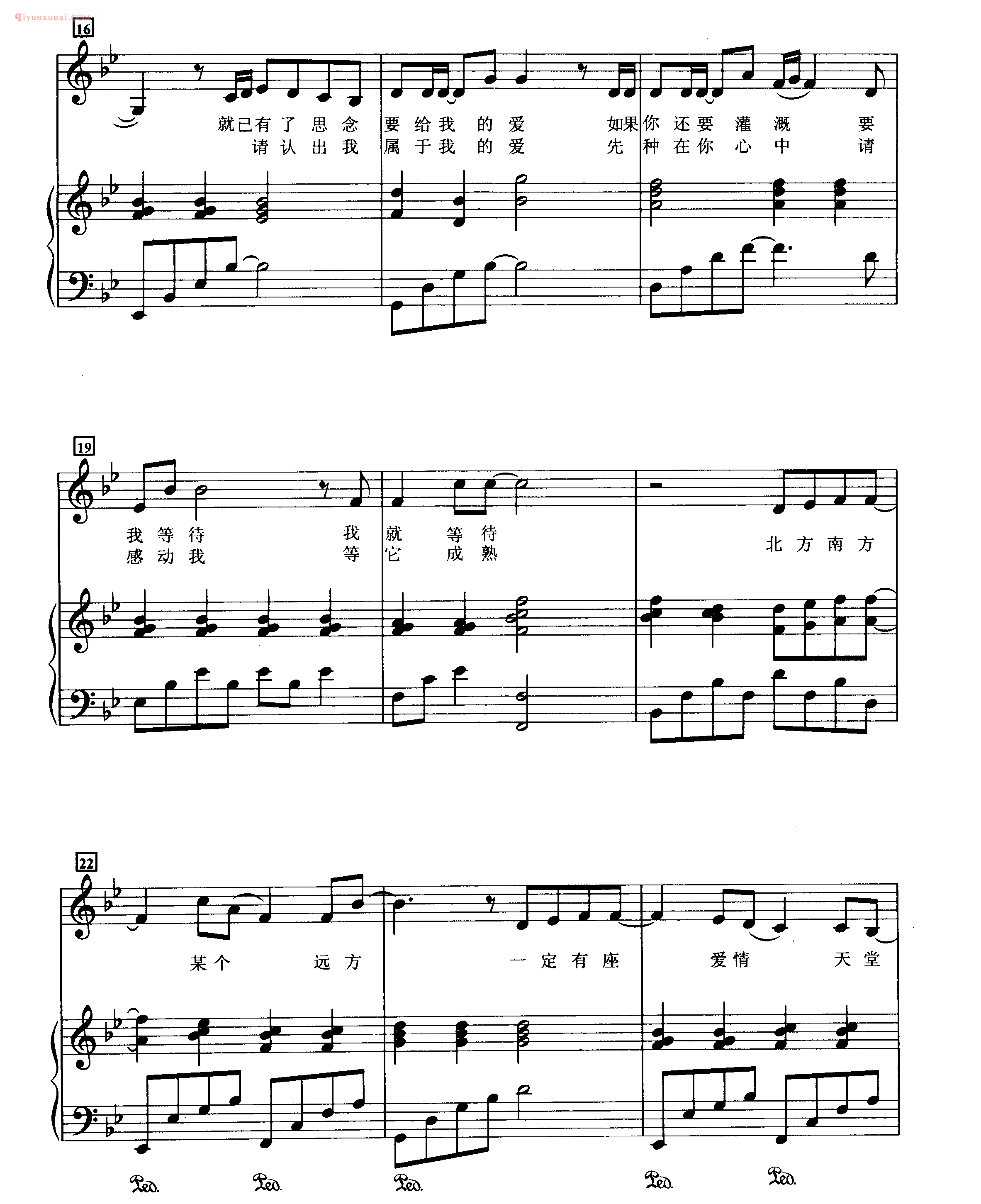 she歌曲钢琴谱_远方