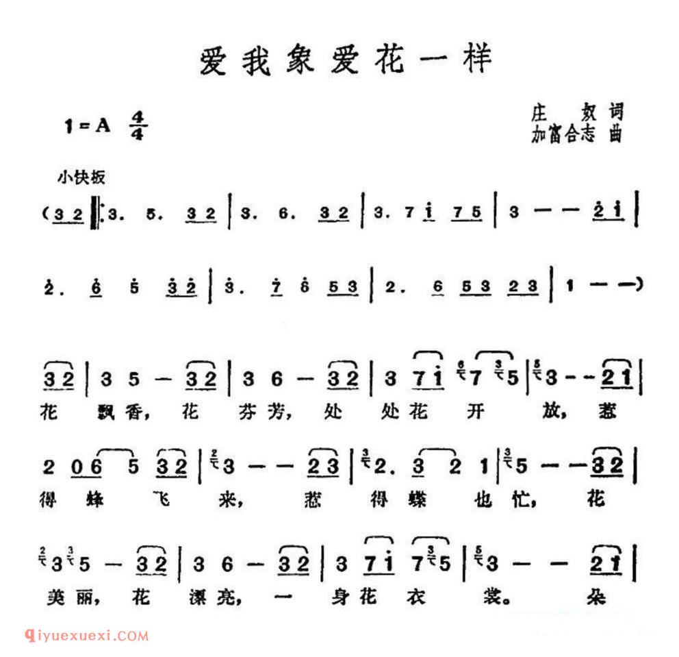 邓丽君演唱金曲：爱我象爱花一样简谱