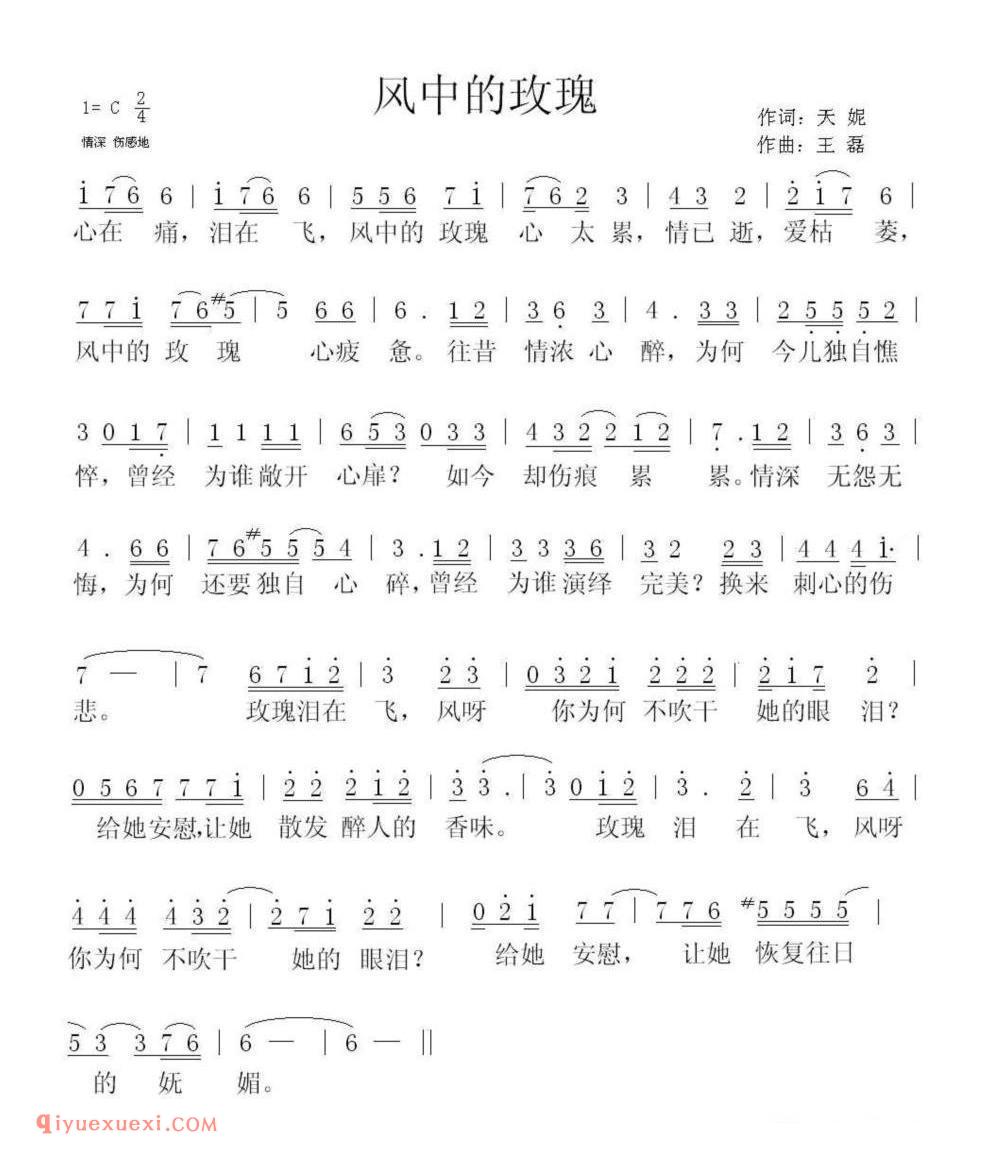 风中的玫瑰（天妮词 王磊曲）简谱