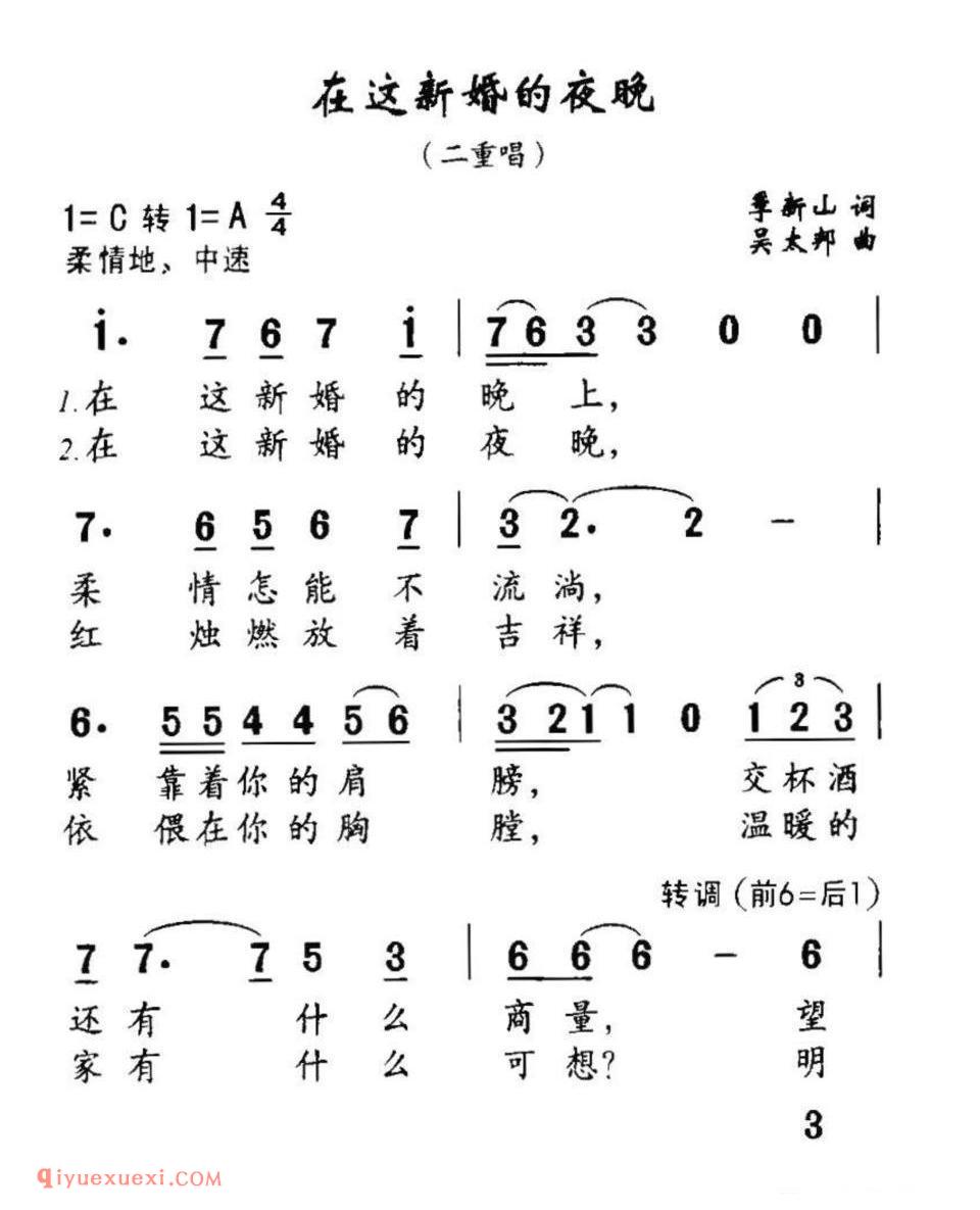 在这新婚的夜晚（二重唱）简谱