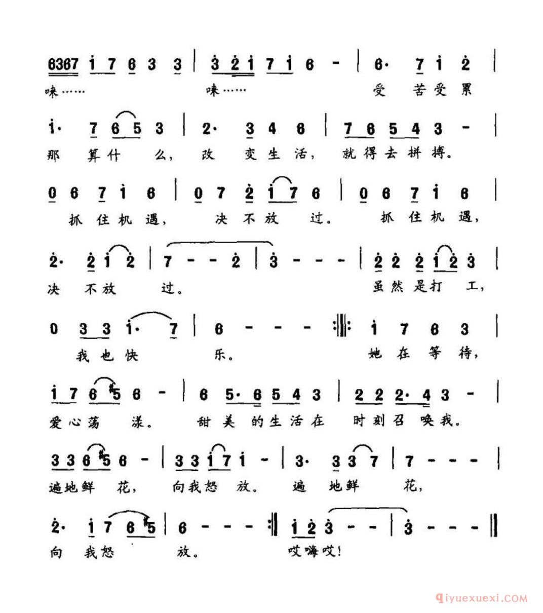 遍地鲜花向我怒放简谱