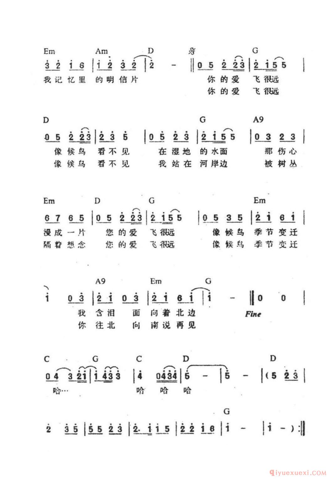 候鸟(方文山词 周杰伦曲)简谱