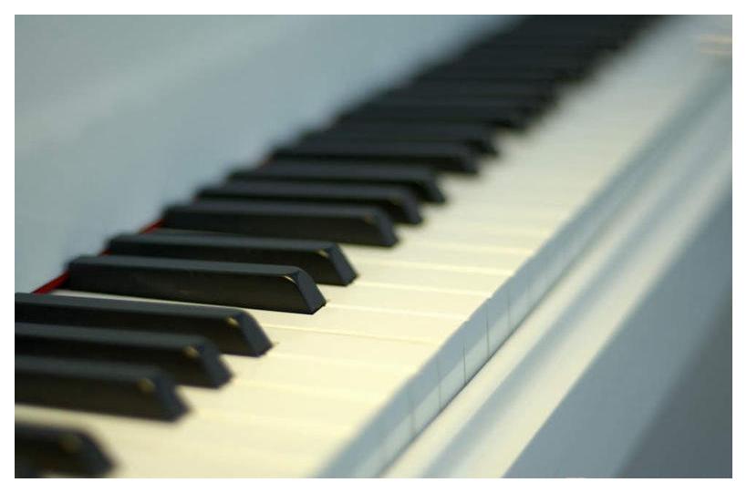 学琴几年没有进步?看这里!