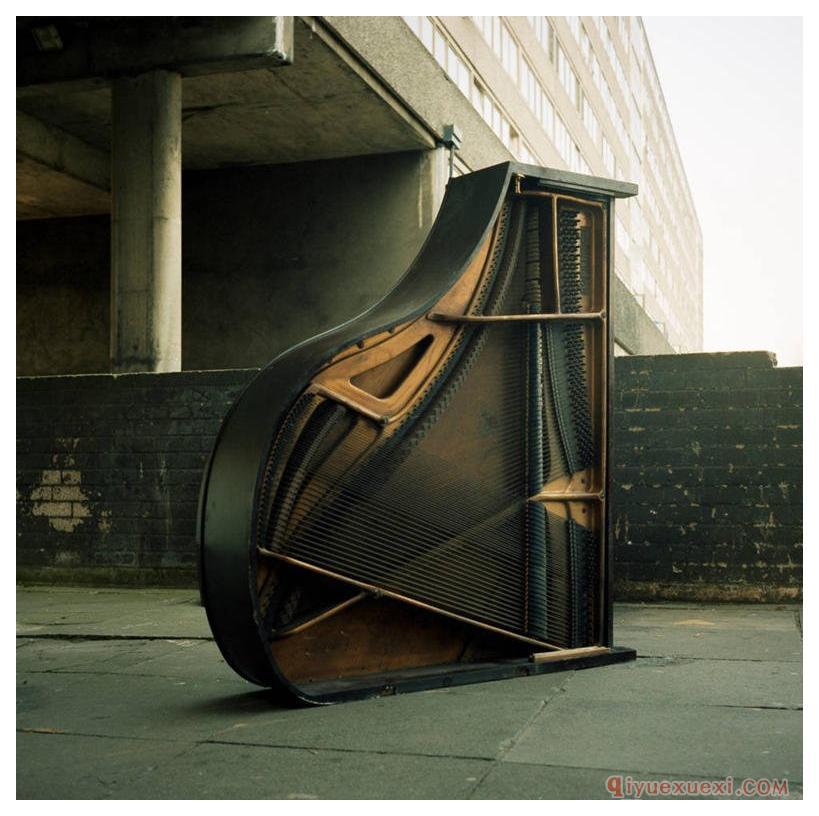 你所不知道的袁隆平:原来是小提琴艺术爱好家……