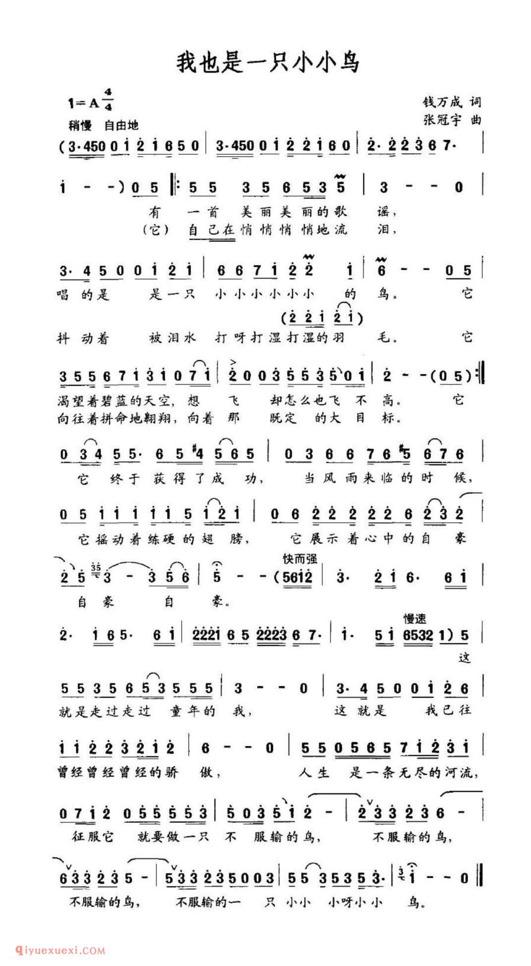 我也是一只小小鸟 钱万成词 张冠宇曲