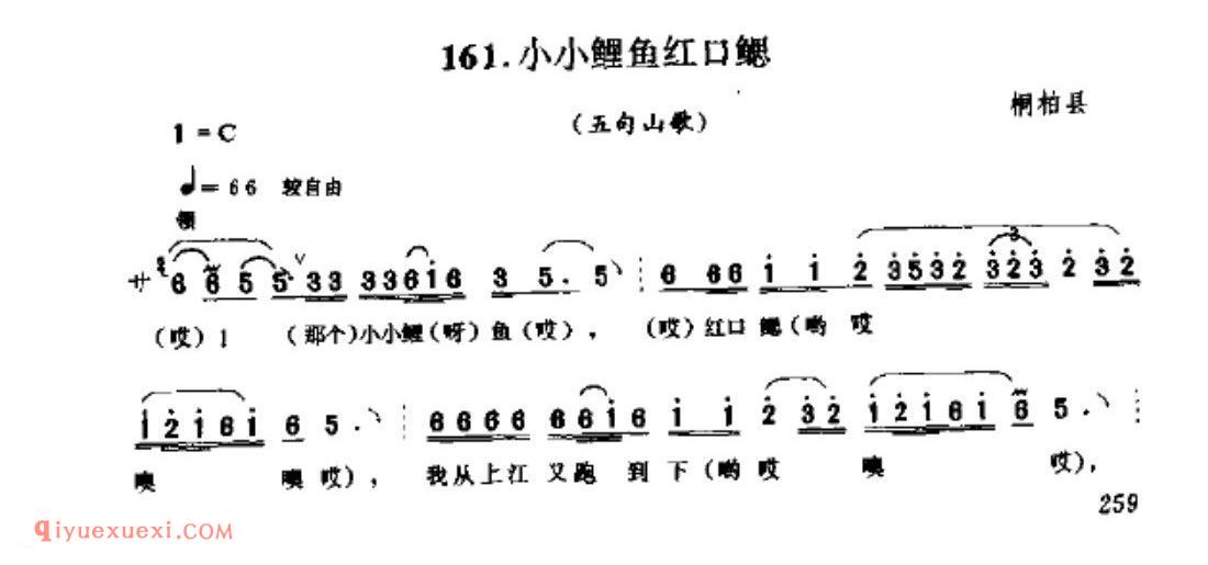 小小鲤鱼红口鳃(五句山歌)_桐柏县_山歌_河南民歌简谱