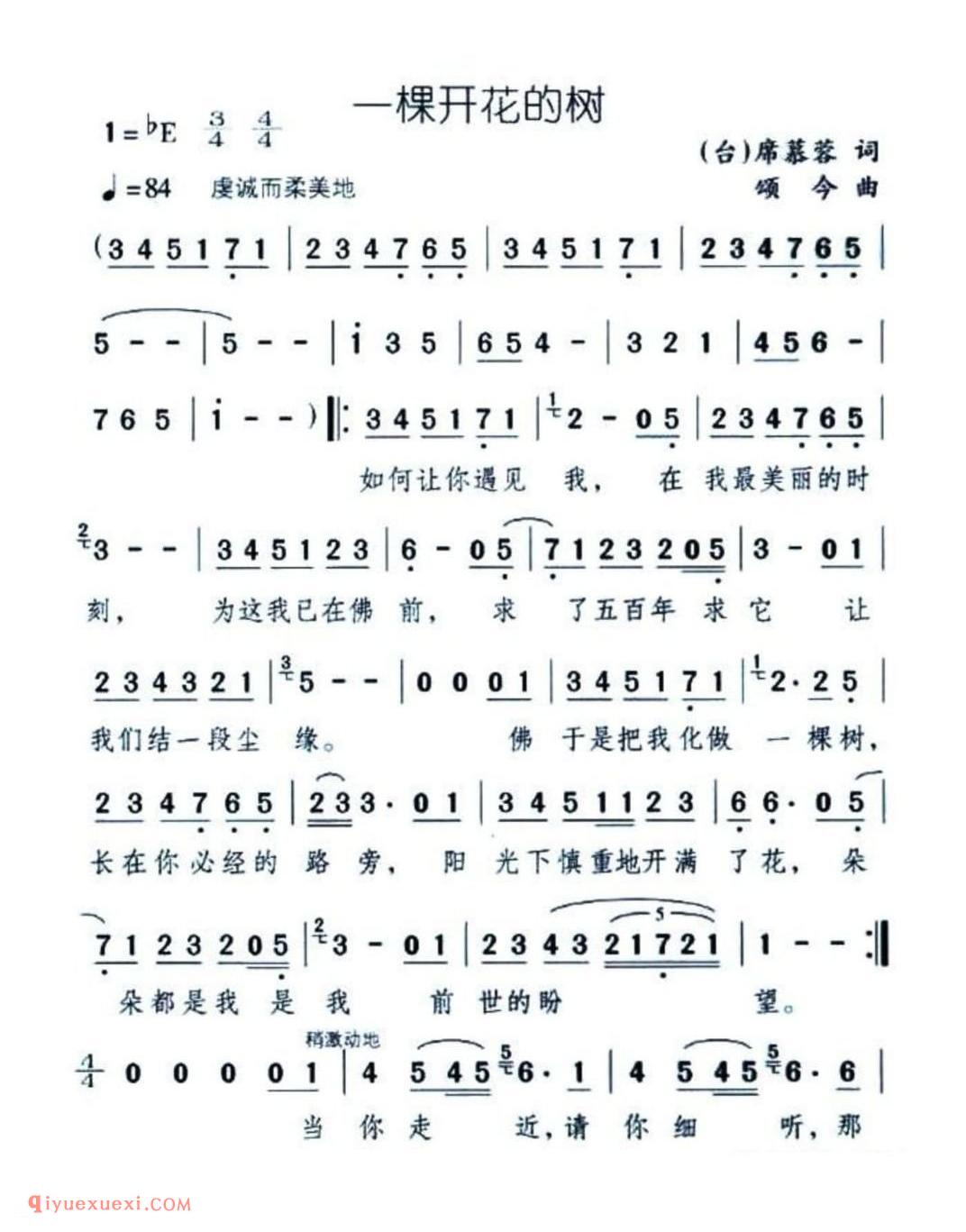 —棵开花的树 (台)席慕蓉词 颂今曲