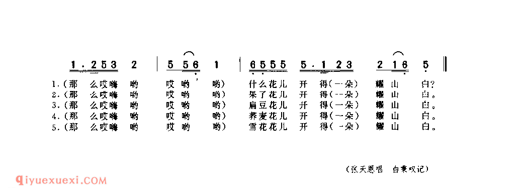 四季开白花 1953年 绥德县_小调_陕西民歌简谱