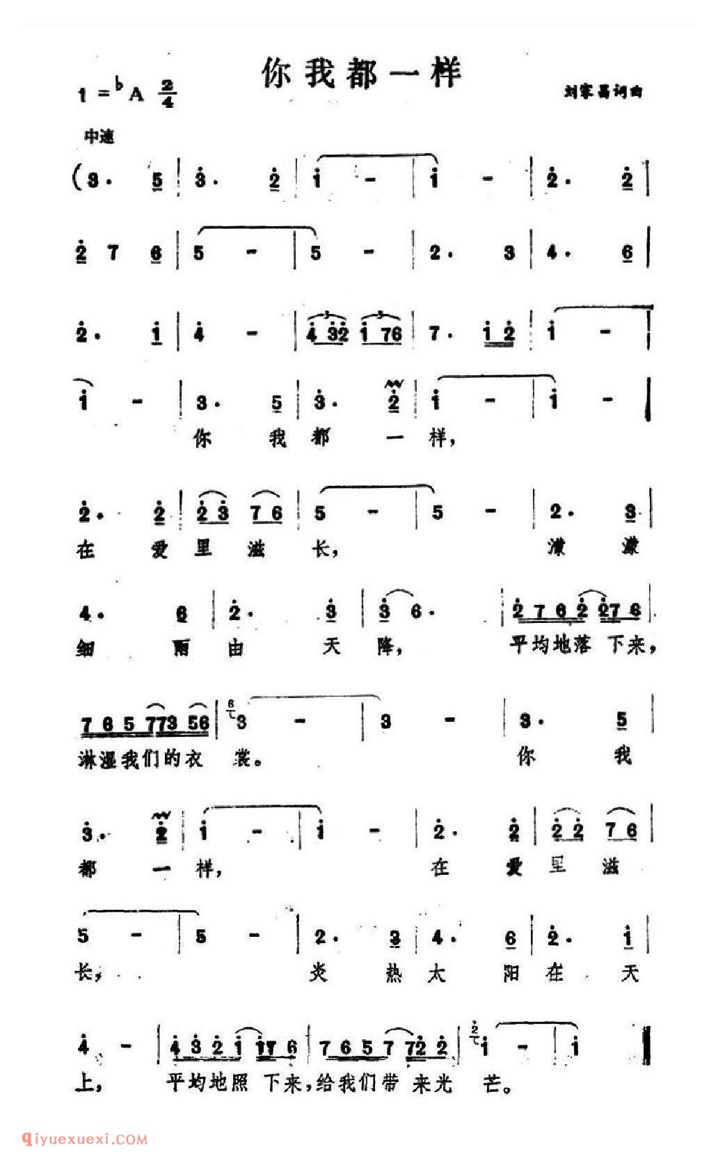 你我都一样简谱