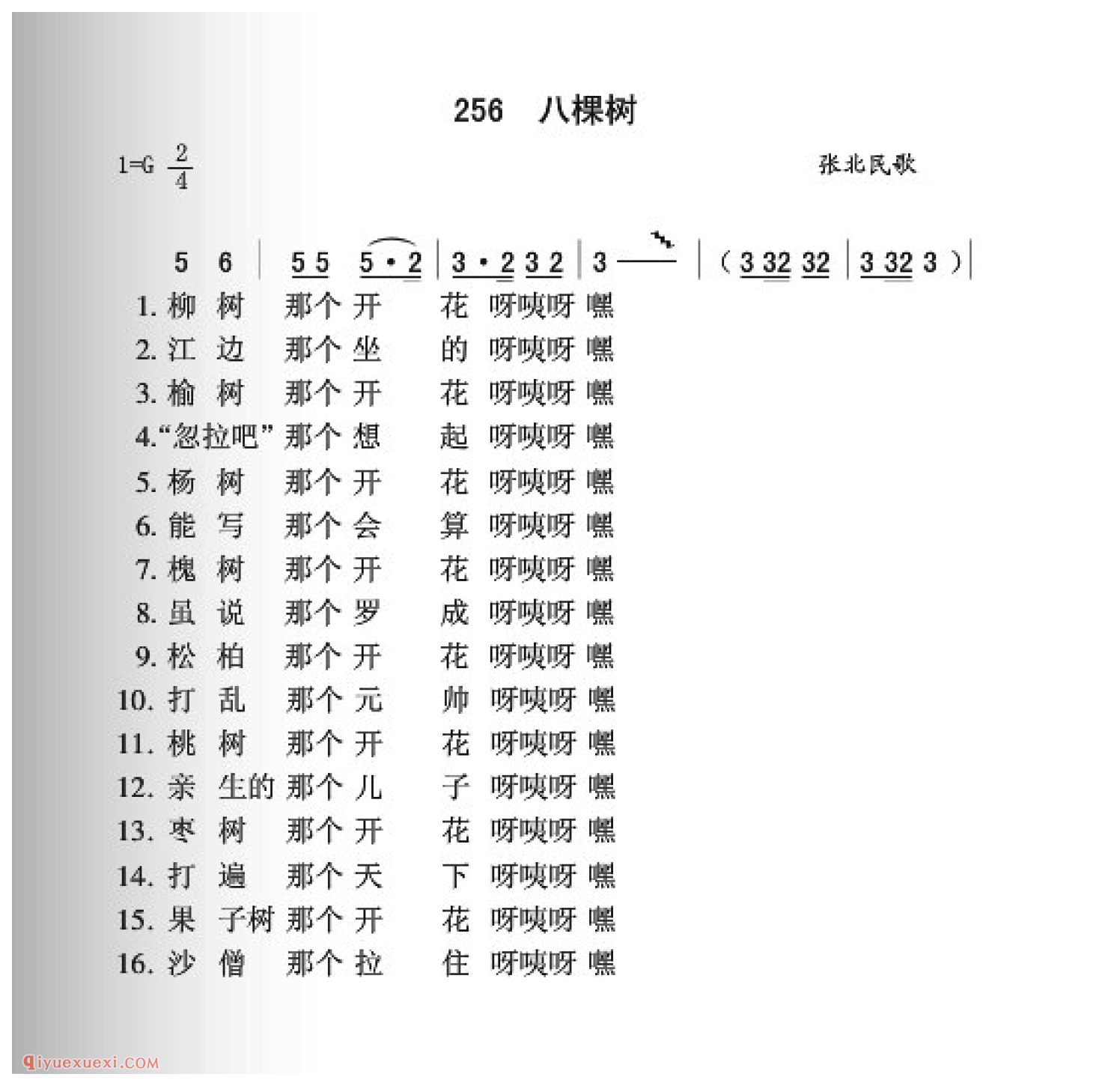 八棵树简谱_张北民歌_中国原生态民歌