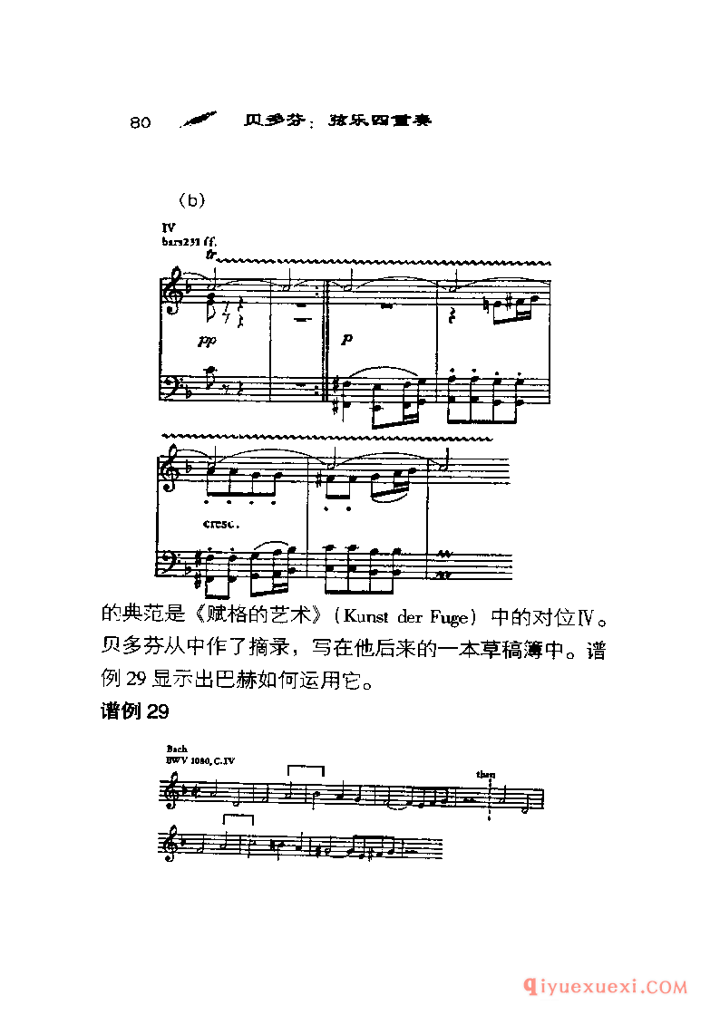 BBC音乐导读5电子书《贝多芬.弦乐四重奏》PDF电子版免费下载