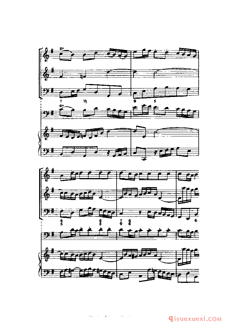 BBC音乐导读40电子书《三重奏鸣曲 The Trio Sonata》PDF电子版免费下载