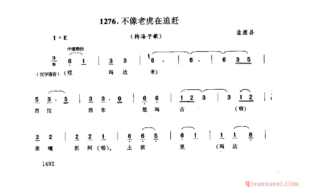 不像老虎在追赶(转海子歌) 盐源县
