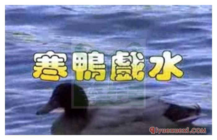 佛筝作品10首演奏视频欣赏.标清