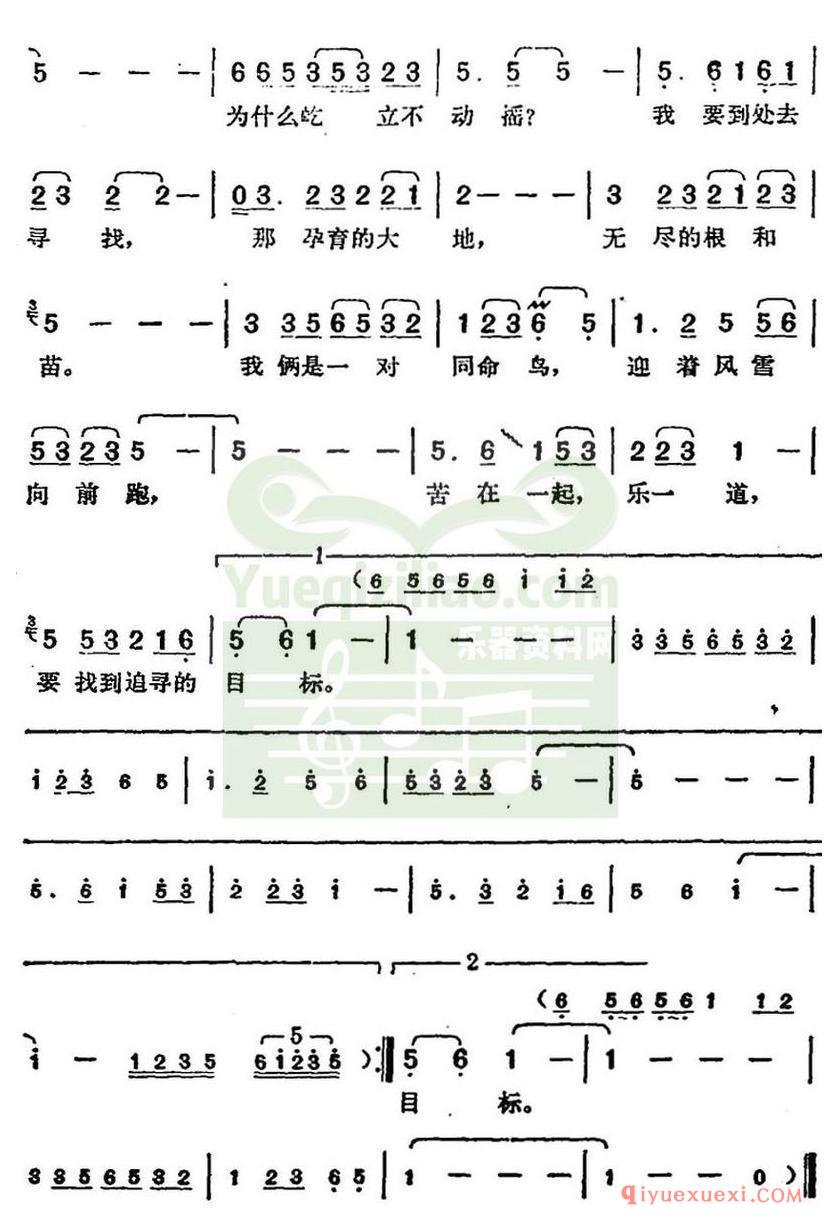 简谱 │ 邓丽君演唱金曲：迎着风跟着云
