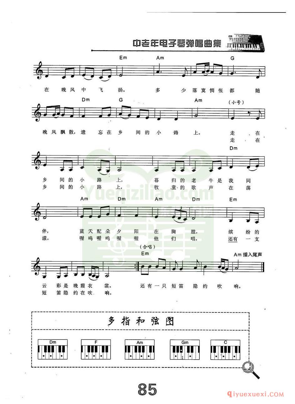 中老年电子琴弹唱曲谱 | 乡间的小路(带和弦速度标记音色)