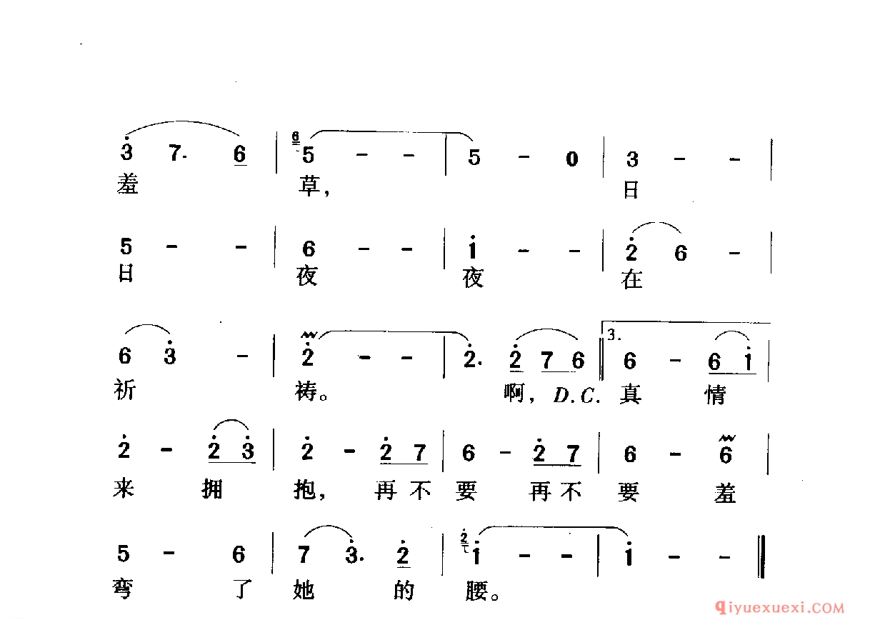 含羞草