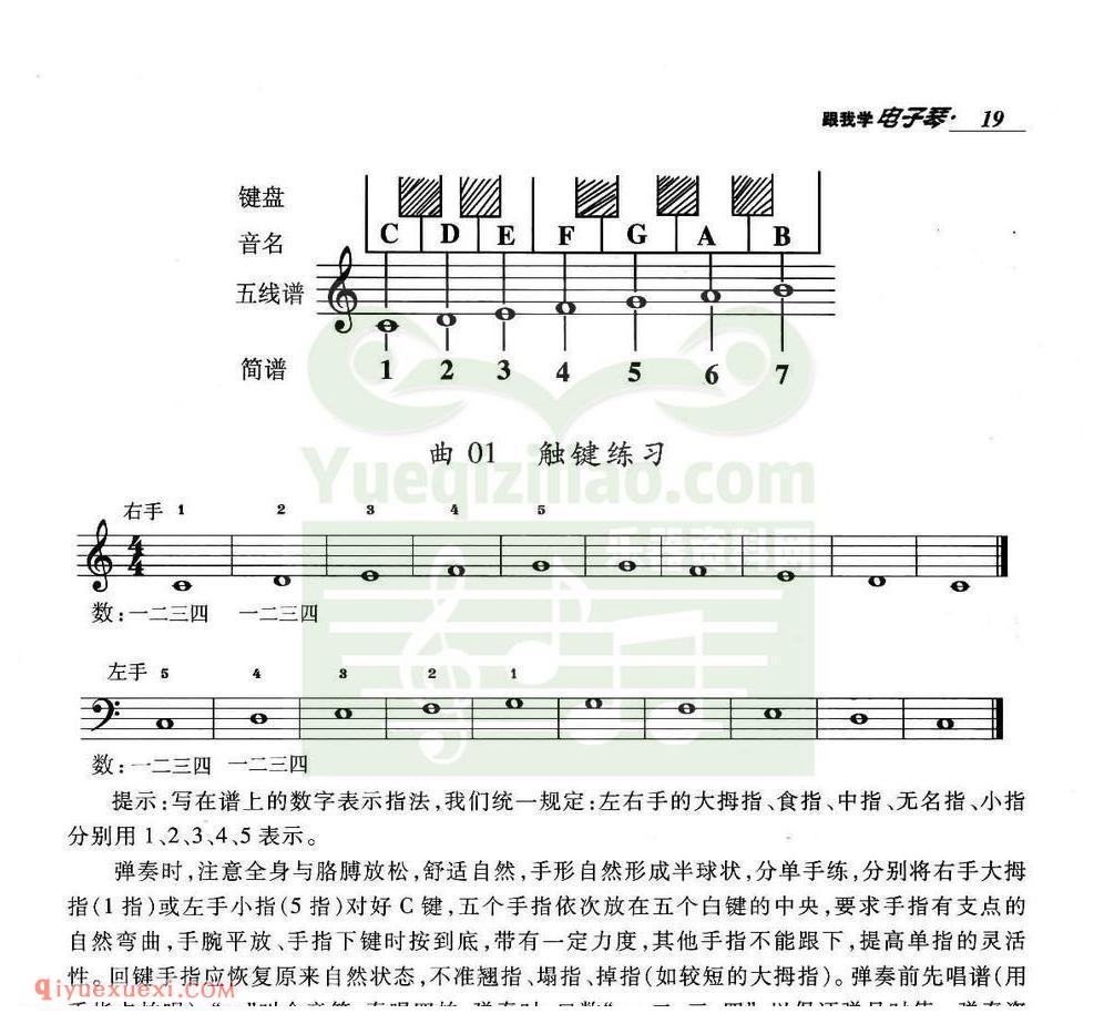 电子琴入门阶段 | 触键练习