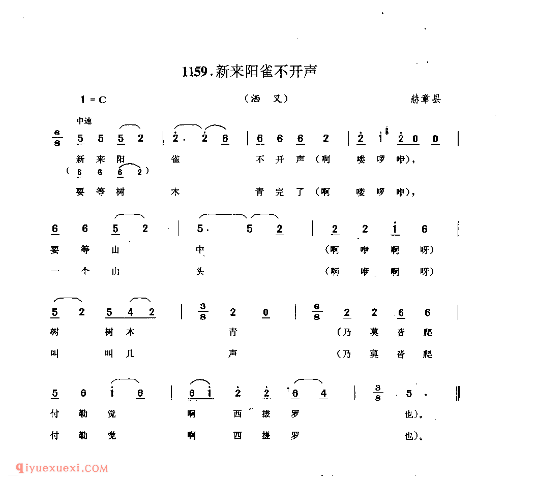 新来阳雀不开声