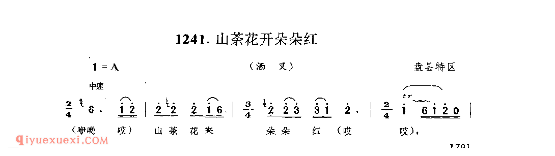 山茶花开朵朵红