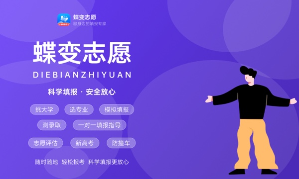 2024地方专项计划的利弊 