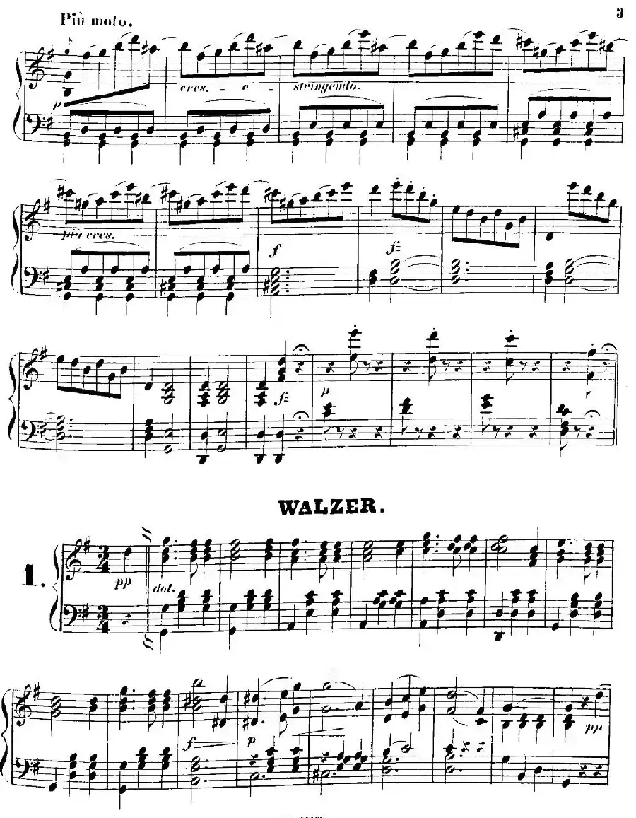 柠檬树花开的地方圆舞曲