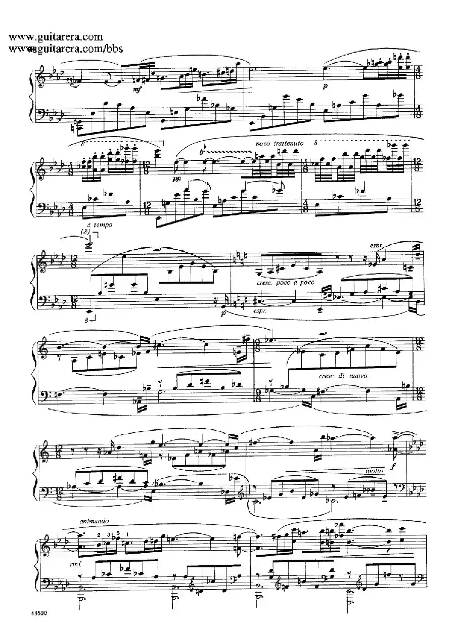Nocturne 