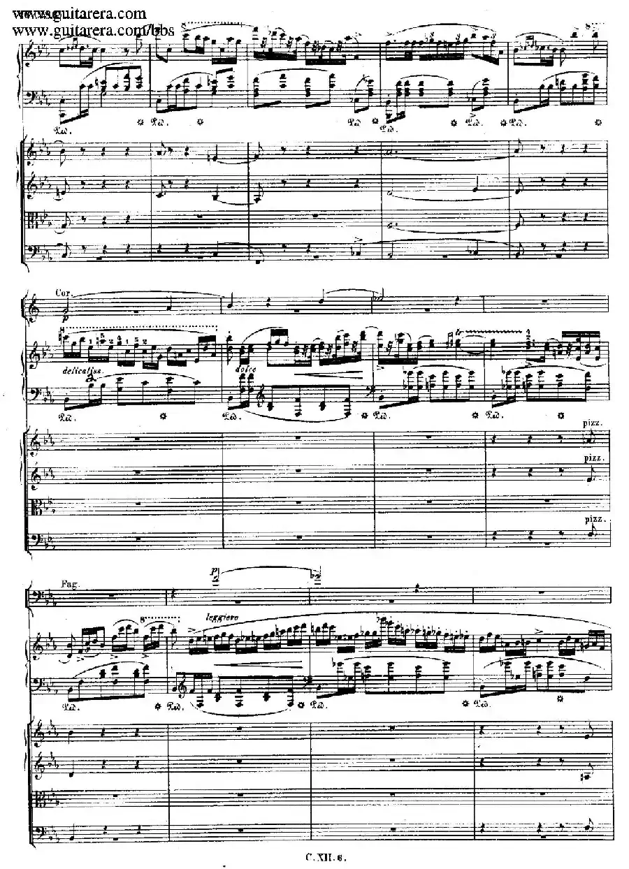 Grande Polonaise Brilliante Preceded by an Andante Spianato Op.22（平静的行板与华丽的波兰舞曲·总谱）