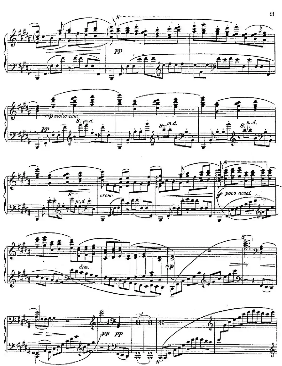 Nocturne Fantasie Op.20（幻想夜曲）