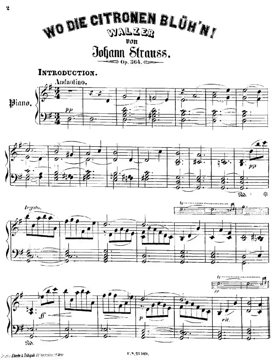 柠檬树花开的地方圆舞曲