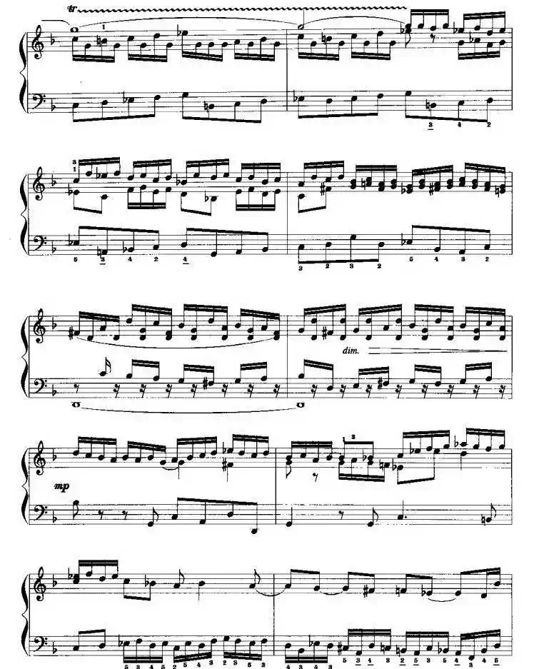 Toccata and Fugue in D Minor(D小调托塔卡与赋格)