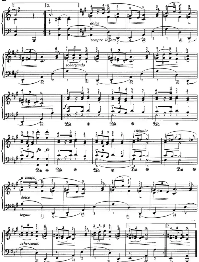 不可不弹的世界钢琴名曲：玛祖卡（第5首）