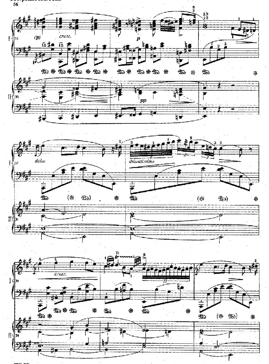 Grand Fantasy on Polish Airs Op.13（华丽的波兰民歌幻想曲·双钢琴版）