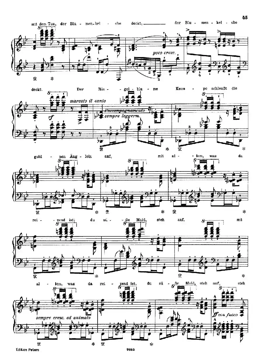 Standchen von Shakespeare （听、听，云雀）