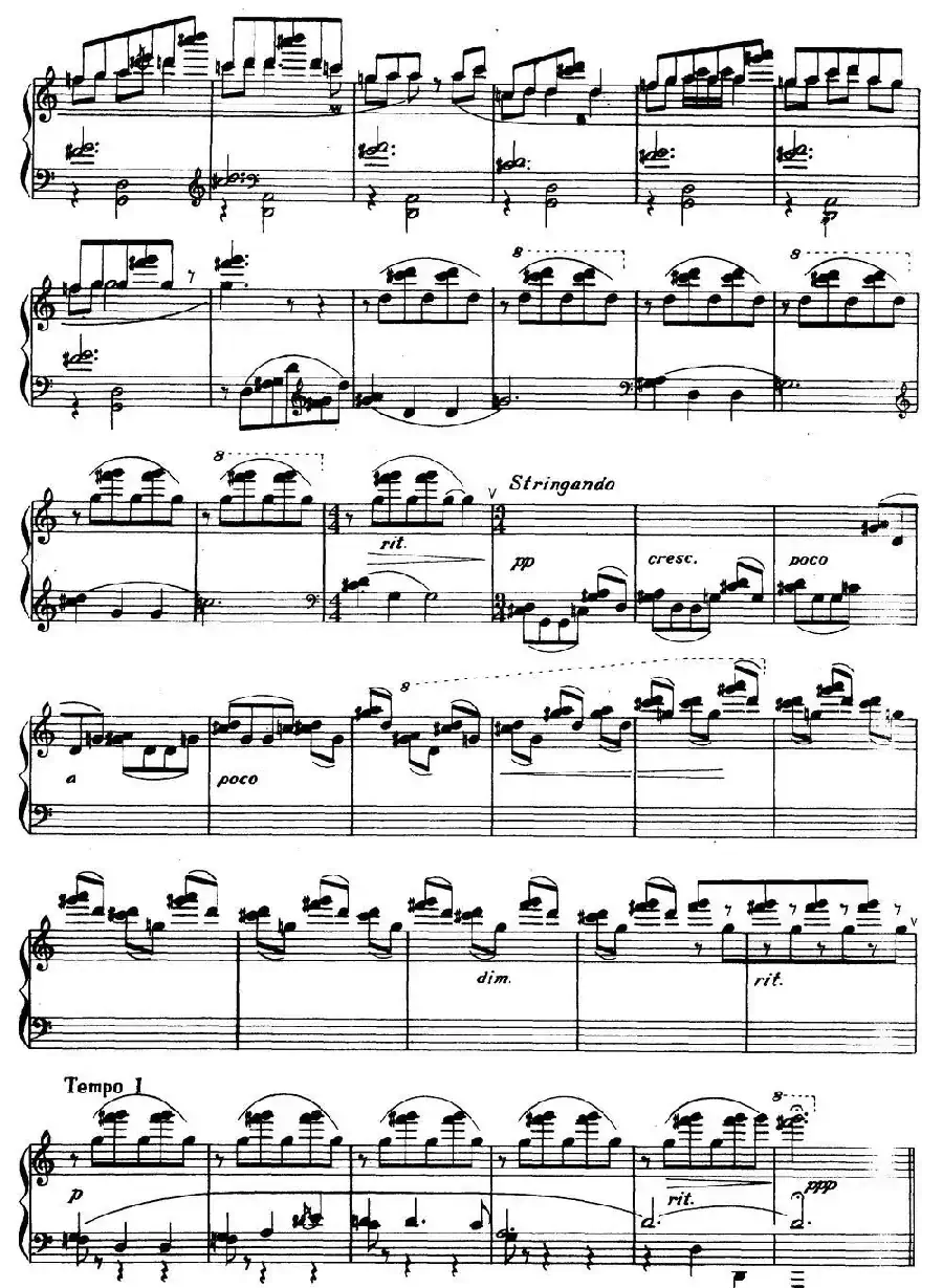 花儿拾零 三、黑牡丹