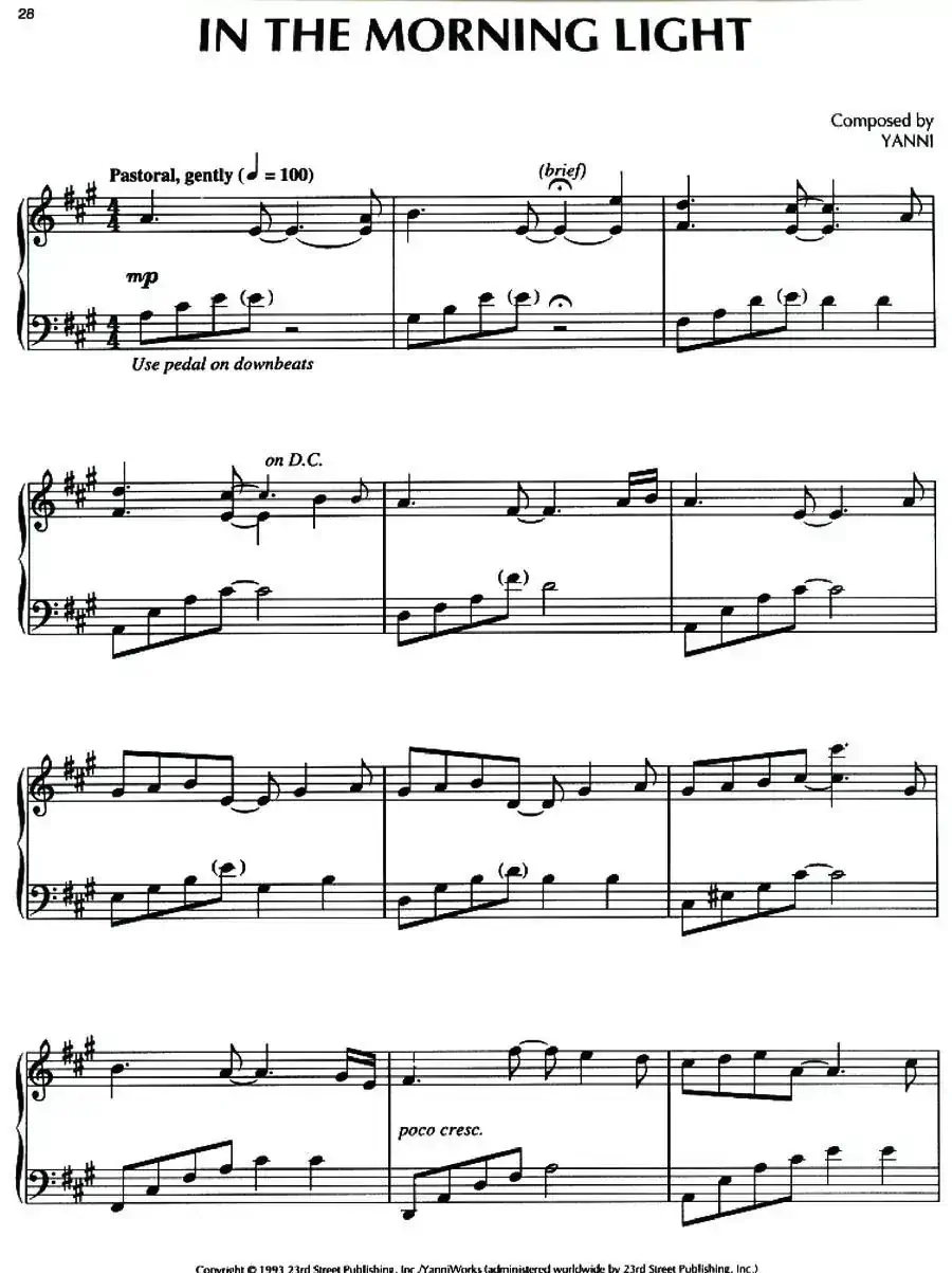 In the Morning Light