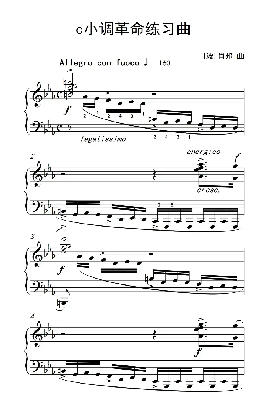 c小调革命练习曲