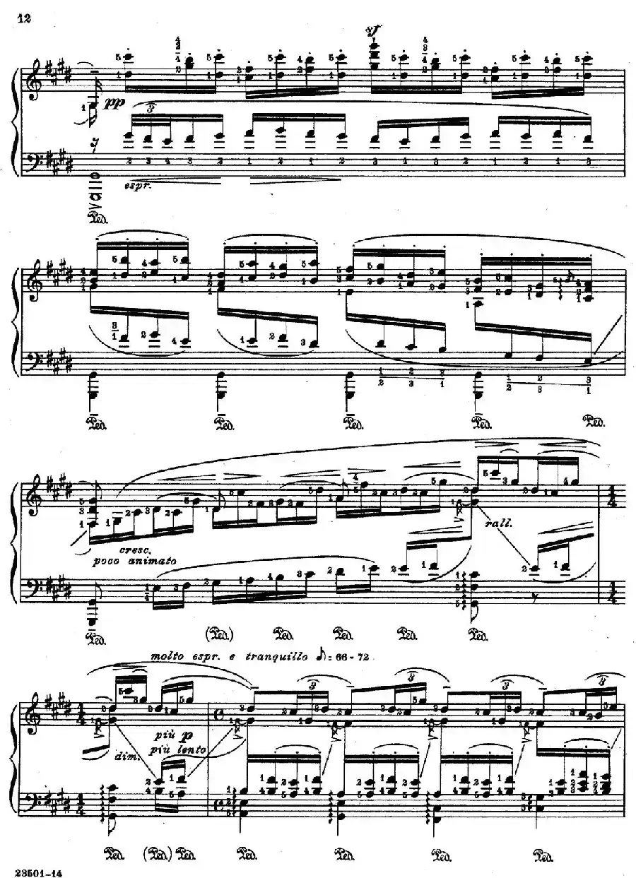 Java Suiten（爪哇组曲·Ⅹ）