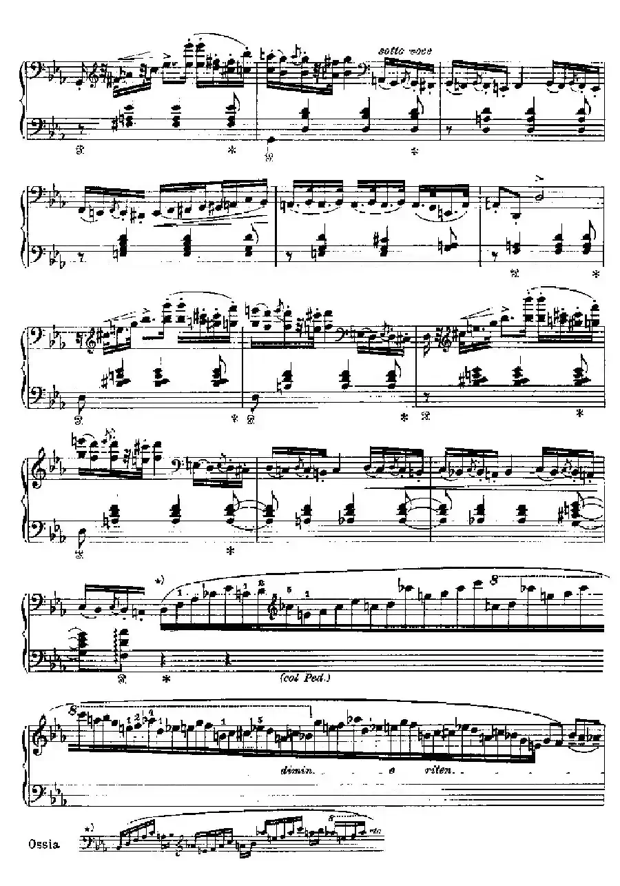 Two Polonaises S.223（2首波洛奈兹舞曲·c小调）