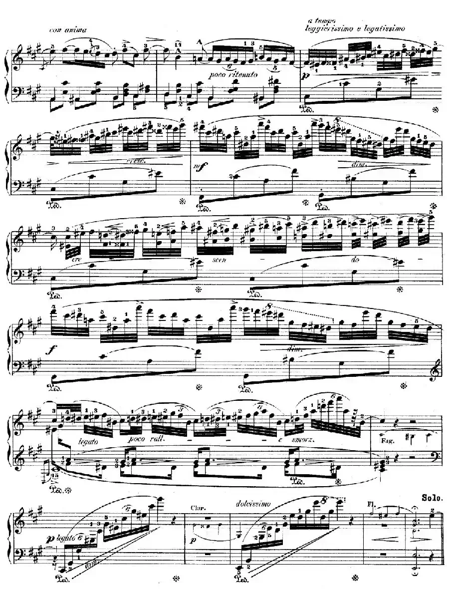 Grand Fantasy on Polish Airs Op.13（华丽的波兰民歌幻想曲·钢琴独奏版）