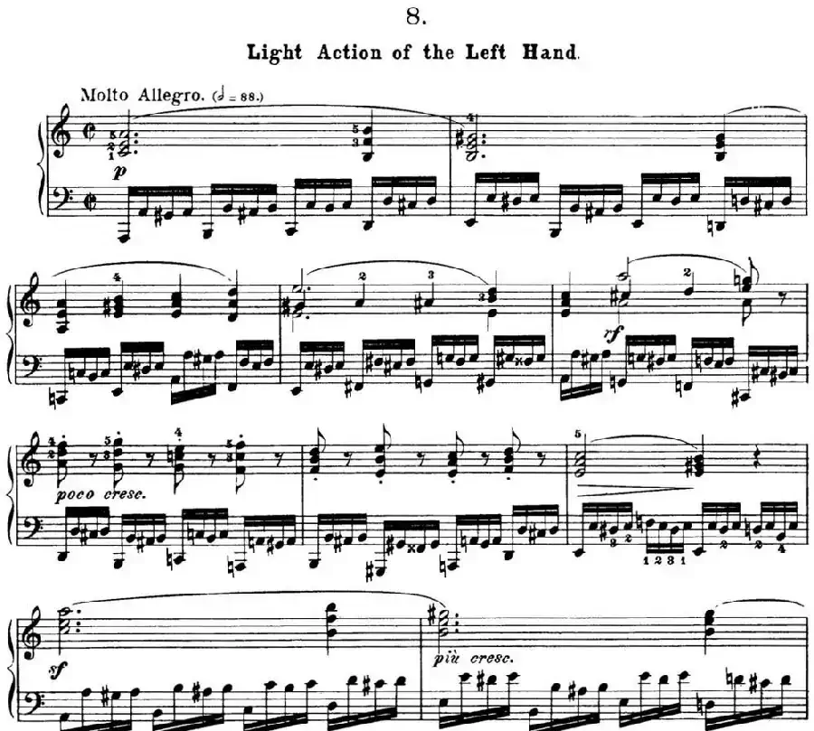 50首车尔尼Op.740钢琴手指灵巧技术练习曲（NO.8）