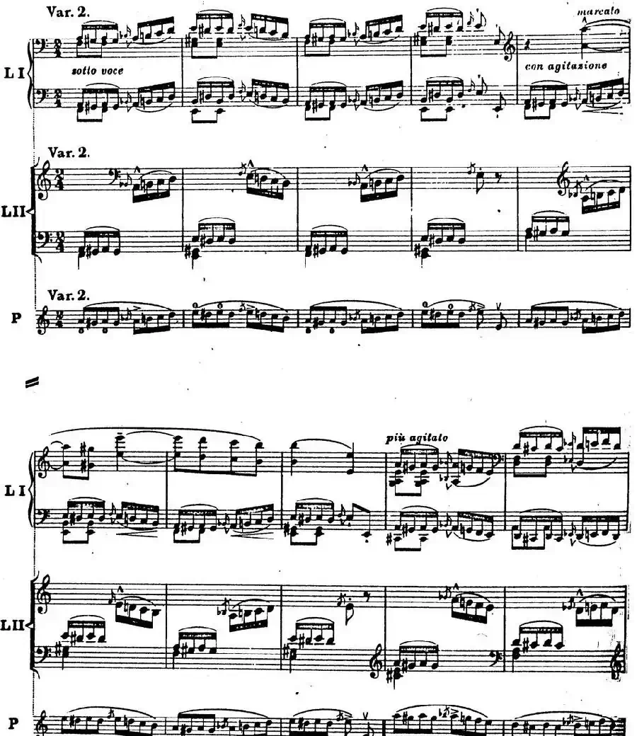 6首帕格尼尼大练习曲（Thema mit Variationen Etude Nr.6）
