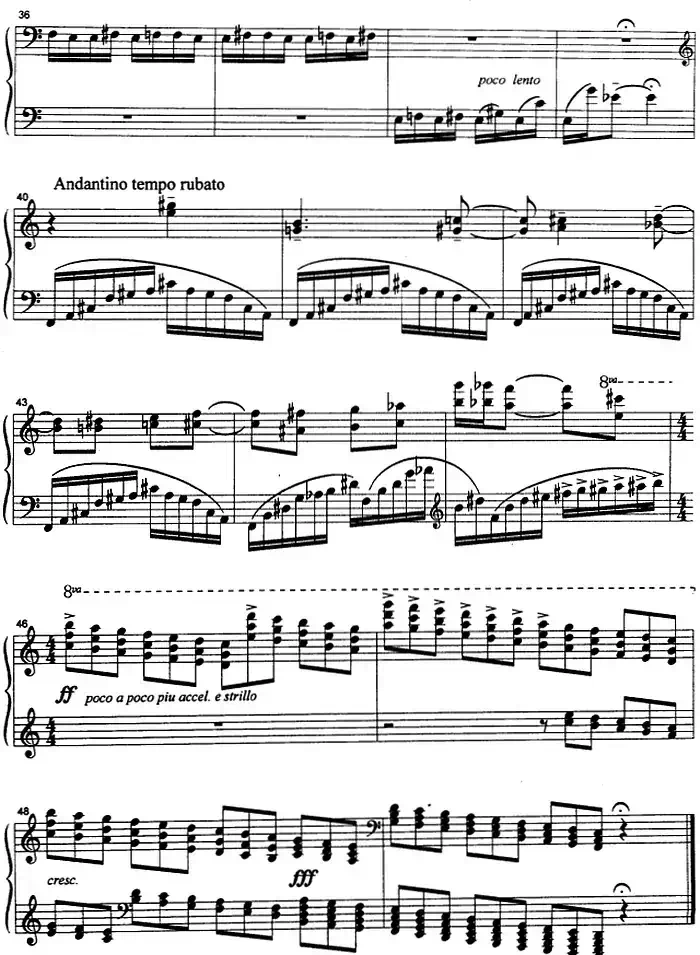 克劳斯的鸟（猫头鹰）