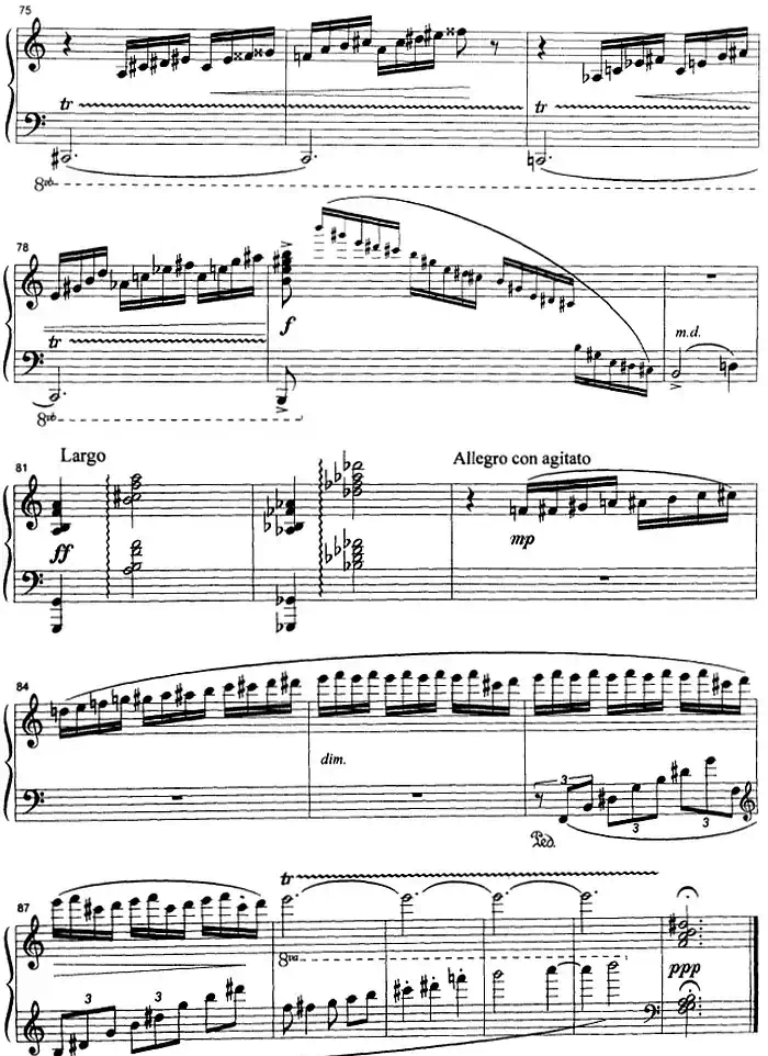 克劳斯的鸟(雨燕)