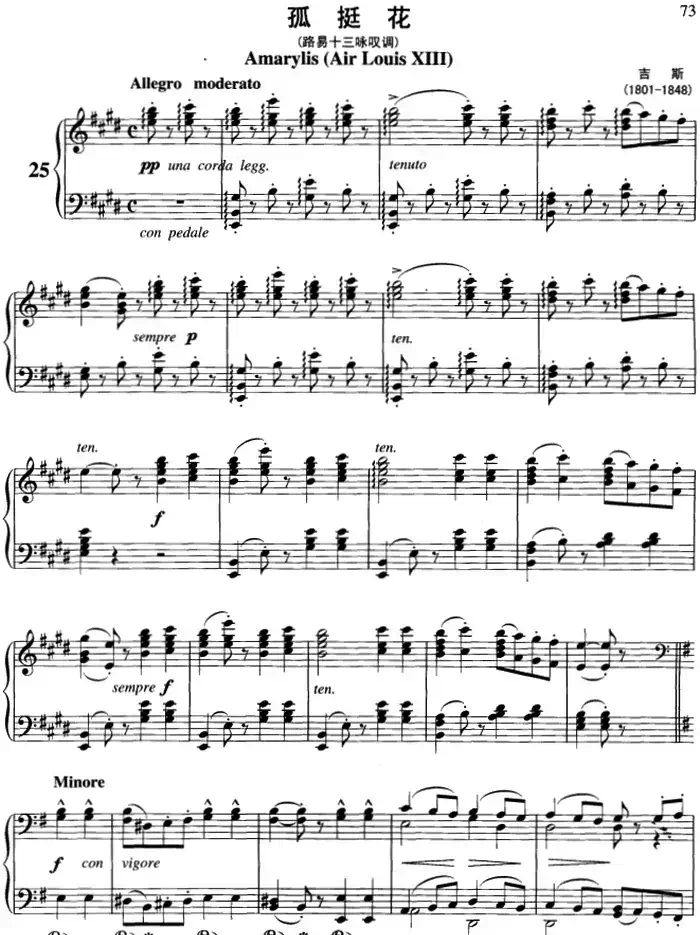 不可不弹的世界钢琴名曲：孤挺花（路易十三咏叹调）