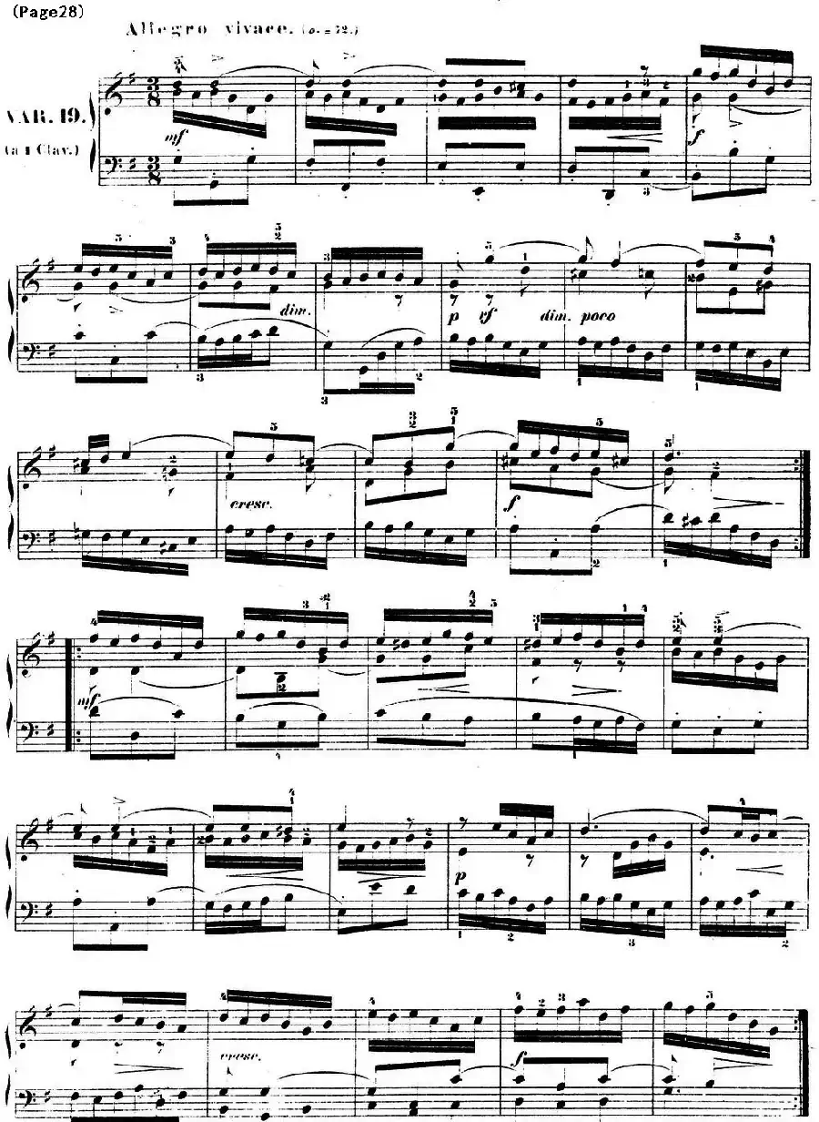 哥德堡变奏曲 巴赫 Goldberg Variationen BWV988